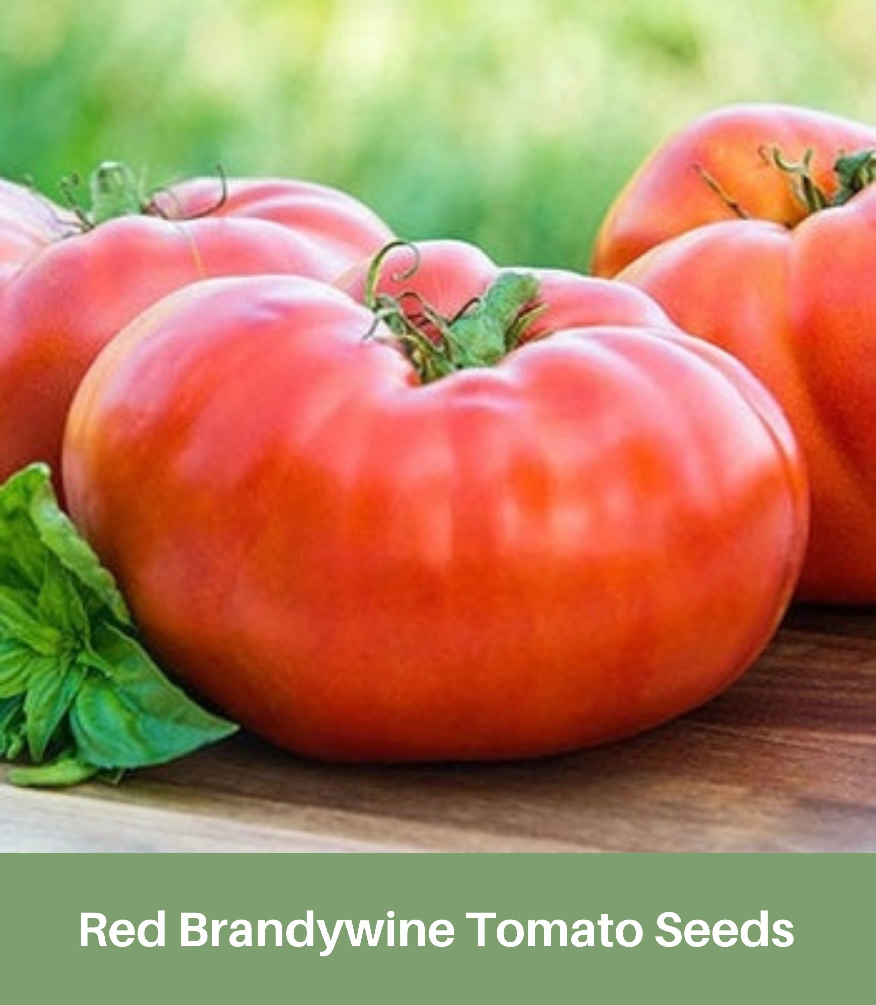 Black Brandywine Tomato Seeds