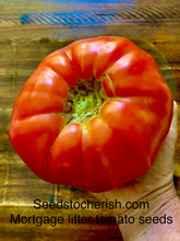 Load image into Gallery viewer, Heirloom Mortgage Lifter Tomato Seeds, Non Gmo, Organic
