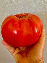 Load image into Gallery viewer, Heirloom Mortgage Lifter Tomato Seeds, Non Gmo, Organic
